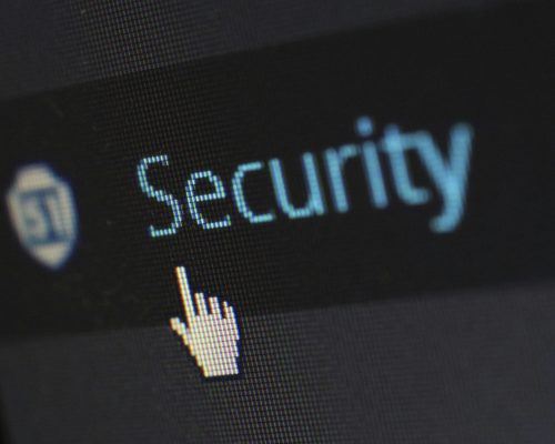 Security Logo